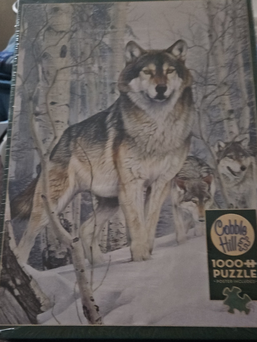 Cobble Second Glance Random Cut Puzzle Jigsaw 1000 Pieces